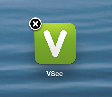 Screencap showing what the VSee icon looks like