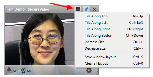 Screencap showing placement menu