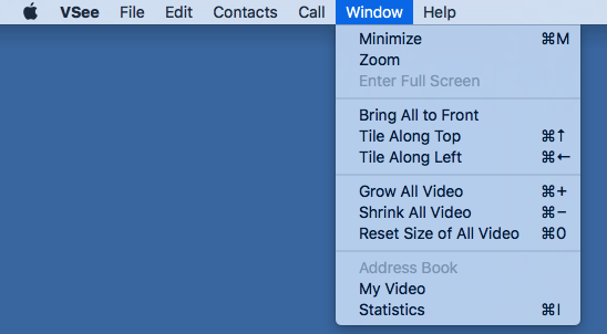 Screencap showing where the size and video placement options are