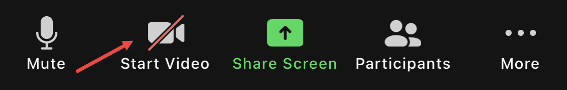 Start Video icon