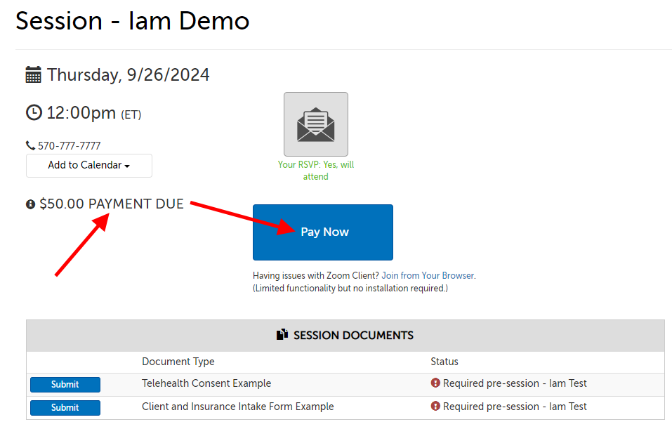 Arrow pointing at payment due amount, then Pay Now button