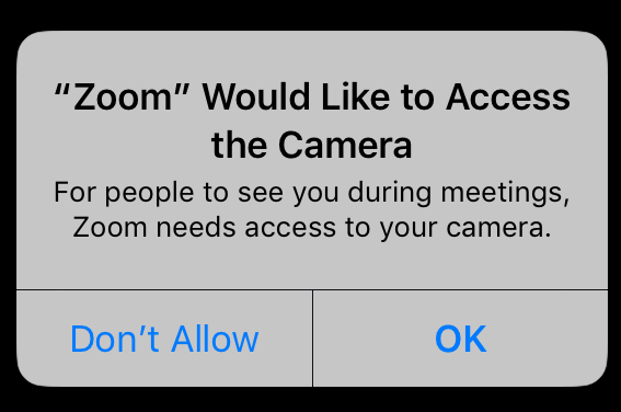 Zoom Would Like to Access the Camera - For people to see you during meetings, Zoom needs access to your camera