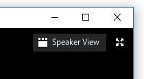 Speaker View button