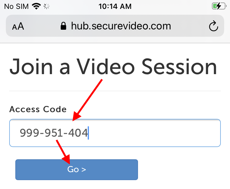 Arrow pointing at access code and then the Go button