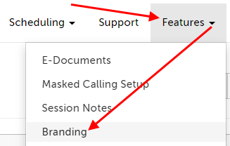 Arrow pointing at the Features menu and then Branding item